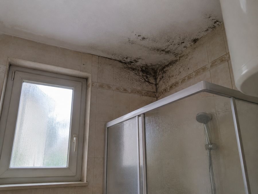 Soffitto di un bagno con macchie di muffa sopra la doccia